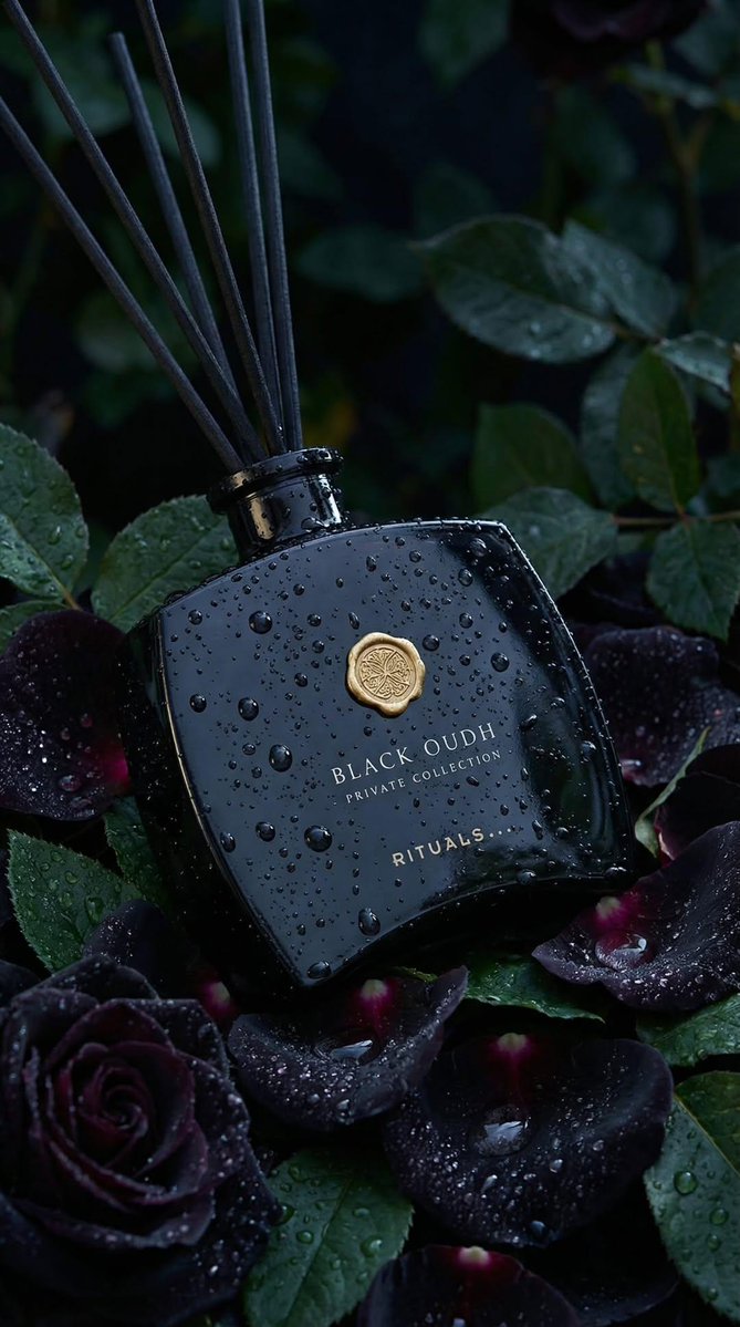 Luxury Black Oud Reed Diffuser Product Photography - view 1